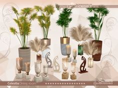 a group of vases with plants in them on a white and brown background,