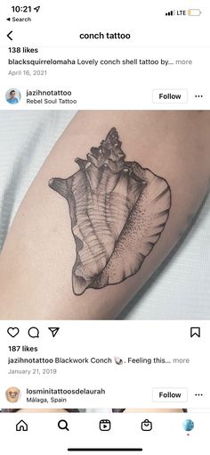 an image of a tattoo on someone's arm that has a sea shell in it