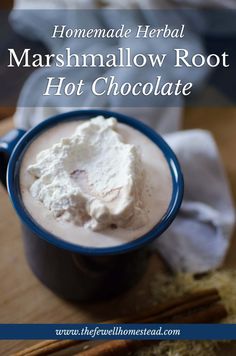 homemade marshmallow root hot chocolate in a mug