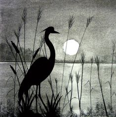 a black and white drawing of a bird standing in front of the water at night