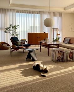 a living room filled with furniture and a dog laying on the floor next to it