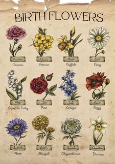 an old paper with flowers on it and the words birth flowers written in different languages