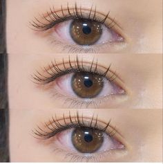 Eyelash Claims For Dr, Lash Extensions Natural Asian, Korean Lash Extensions, Natural Lash Extensions Asian Eyes, Eyelash Extensions Asian, Cat Eye Lash Extensions Asian Eyes, Lash Extentions Asian Eyes, Bentuk Alis