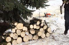 a man is standing in the snow next to some logs