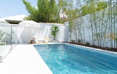 an empty swimming pool in the middle of a backyard with bamboo trees on either side