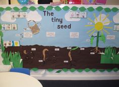 a bulletin board with the words the tiny seed on it, and pictures of plants