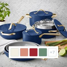 blue pots and pans with gold handles on a countertop next to green plants