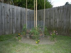 a fenced in garden with flowers and plants growing out of the ground next to it