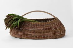 a wicker basket with a green plant in the top and bottom half, on a white background