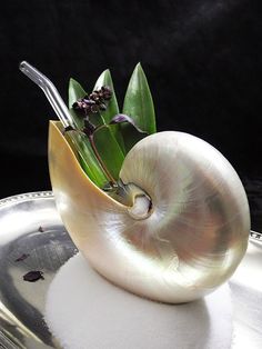 a silver plate topped with a white shell and green plant in it's centerpiece