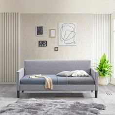 a living room with a couch, rug and potted plant in front of the window