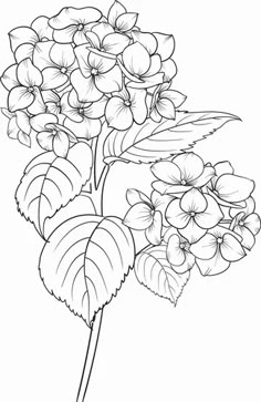 a drawing of flowers with leaves on a white background