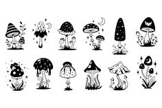 the different types of mushrooms and plants in black and white, on a white background