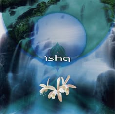 an advertisement with flowers in front of a waterfall and the word ishq on it