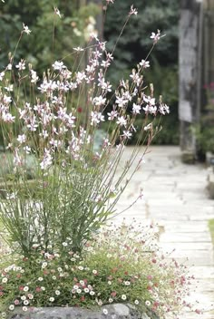 some pink and white flowers are in a rock planter on the side of a walkway