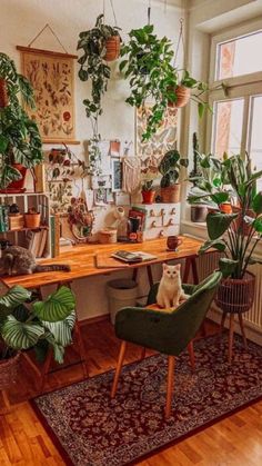 a cat sitting on a green chair in front of a desk with potted plants