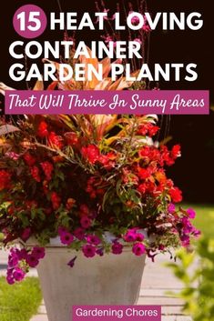 a potted plant with flowers in it and the words 15 heat loving container plants that will