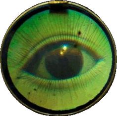 an eyeball is seen in this image