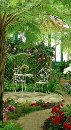 two white chairs sitting in the middle of a garden