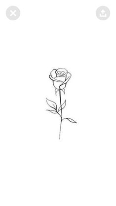 a drawing of a single rose on a white background with the word love written below it