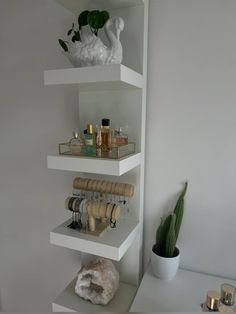 three shelves with various items on them and a cactus in the corner next to it