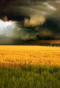 a large field that has some grass in the foreground and storm clouds above it