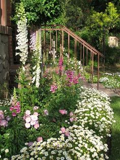 a garden filled with lots of white and pink flowers