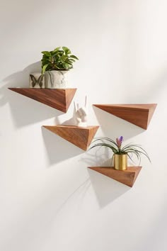 three wooden shelves with plants on them against a white wall, one has a potted plant and the other has a gold vase