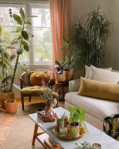 a living room filled with furniture and lots of plants on top of it's coffee table