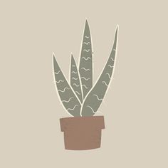 a potted plant on a beige background with waves in the top right hand corner