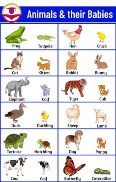 an animal and their babies chart with the words in each letter, which are on top of