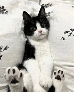 a black and white cat laying on top of a bed with its paws hanging out