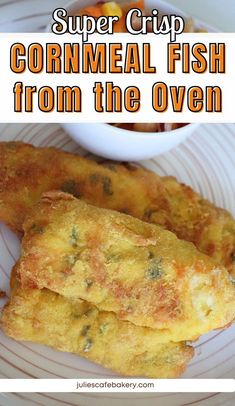 Oven Baked Fish with Cornmeal SERVED ON WHITE PLATE Baked Fish Recipes Oven, Baked Haddock Recipes, Cornmeal Bread, Breaded Fish, Cornmeal Recipes, Oven Baked Fish, Baked Haddock, Haddock Recipes, Fish Breading