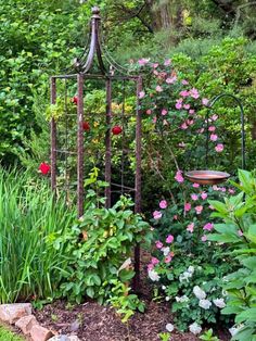 a garden filled with lots of plants and flowers