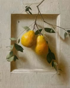 two lemons are hanging from a branch on a white frame with green leaves in the background