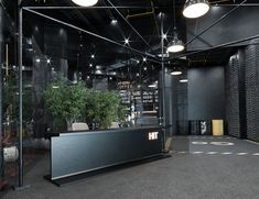 an empty room with black walls and plants on the counter, surrounded by metal shelving