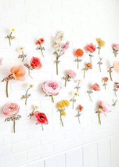 flowers are arranged on the wall to create an artistic display for someone's room