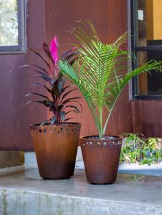 two potted plants sitting on top of a cement slab next to a window sill