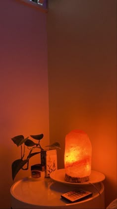 a table with a lamp on top of it next to a plant and a book