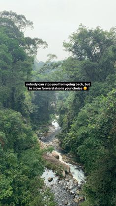 a river surrounded by lush green trees with a quote above it that reads nobody can stop you from going back, but to move forward also into your choice