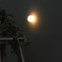 the moon shines brightly in the dark sky above a wooden table with a potted plant on it