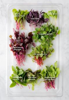 the different types of lettuce are displayed in a plastic tray on a marble surface