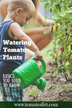 a young boy is watering plants in the garden