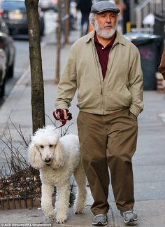 an older man walking his poodle down the street