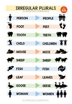 the different types of teeth and their meanings are shown in this chart, which shows how they