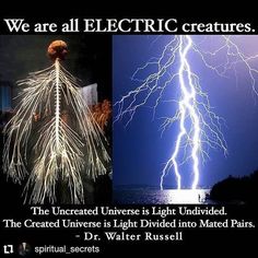 there are two pictures with lightning in the sky and one has a caption that says, we are all electric creatures