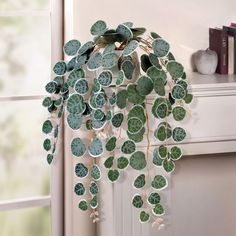 a bunch of green leaves hanging from the side of a wall next to a window