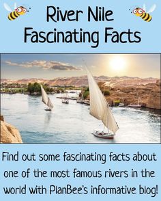 River Nile Fascinating Facts blog by PlanBee Nile River Project, Nile Egypt, River Nile, Intresting Facts, Group Ideas, Nile River, Facts For Kids, Fascinating Facts, Group Work