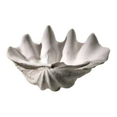 a white shell shaped bowl on a white background