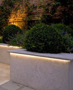 an outdoor area with plants and lights on the side of the wall, along with concrete planters